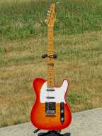 3_alvarez_asg4_telecaster.jpg