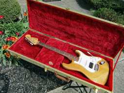 3_fender_strat.jpg