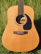 Seagull M6 Solid Cedar Top Acoustic Guitar with Hard Case
